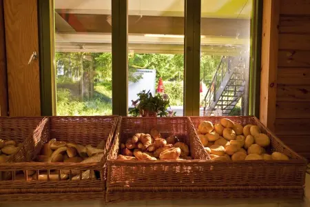Camping Petite Suisse 3, Maison tranquille dans les Ardennes - Photo 24