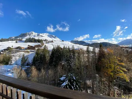 Studio confortable au centre du Chinaillon, proche commerces et pistes, avec ménage inclus - Photo 17