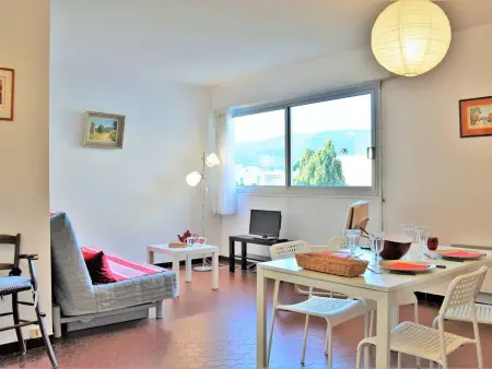 Appartement 2 pièces avec piscine et parking à 2 pas de la plage au Lavandou - Photo 2