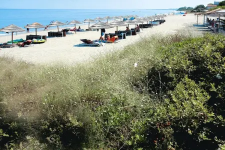 Residence La Vallicella Moriani-Plage // VA4L - 2pc4, Appartement avec terrasse ou balcon - Photo 8
