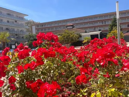 Appartement fonctionnel Blanes, proche plage, piscine - Photo 15