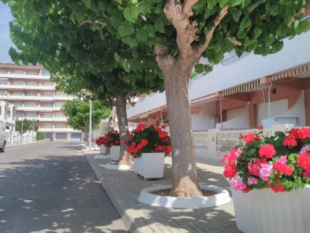 Appartement Alpen1 Voramar 2 Chambres avec Piscine à 150m de la Plage à Peñíscola - Photo 2