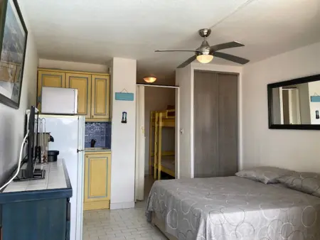 Studio équipé avec accès piscine, climatisation, parking privé à Agde, proche centre et plages - Photo 1