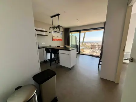 Appartement luxe 2 chambres, balcon, accès plage, piscine, animaux admis, parking - Photo 9