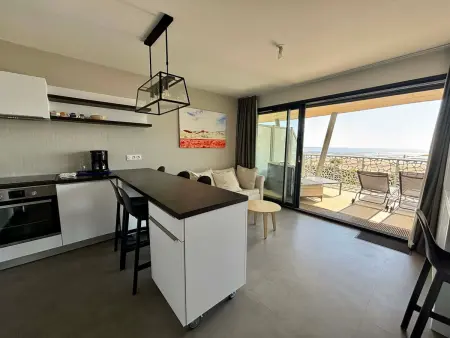 Appartement luxe 2 chambres, balcon, accès plage, piscine, animaux admis, parking - Photo 15