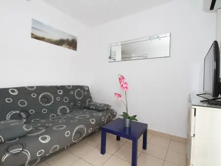Charmant T1 avec grande terrasse, climatisé, proche des Thermes, équipé lave-vaisselle et lave-linge - Photo 3