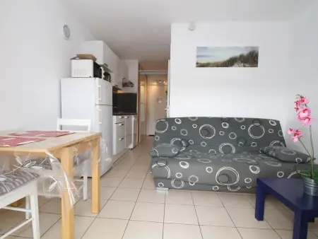 Charmant T1 avec grande terrasse, climatisé, proche des Thermes, équipé lave-vaisselle et lave-linge - Photo 4