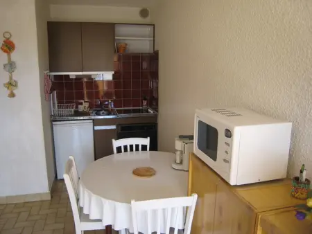 Studio climatisé avec coin nuit et terrasse plein Sud, 10 m², parking inclus - Photo 3