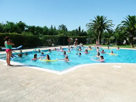 Bungalow en bois à 100m de la plage avec WiFi, animaux admis et parking - Photo 1