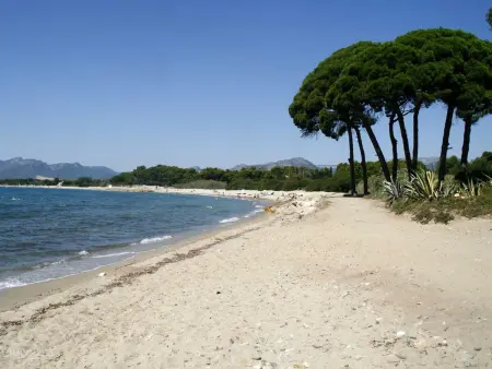 Bungalow en bois à 100m de la plage avec WiFi, animaux admis et parking - Photo 13