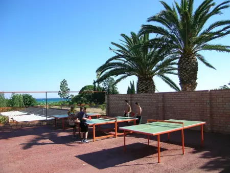 Bungalow en bois à 100m de la plage avec WiFi, animaux admis et parking - Photo 18