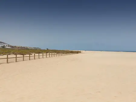 Beaux appartements à 2 lits, terrasse, Wi-Fi, près de Playa del Matorral - Photo 14