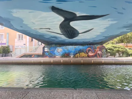 Studio climatisé avec piscine et parking à Saint-Aygulf - Photo 17