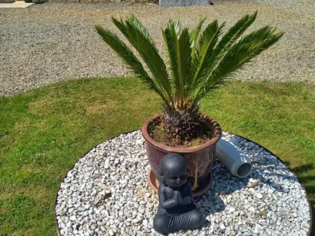 Charmante maison rénovée avec terrasse privée et jardin - Photo 18