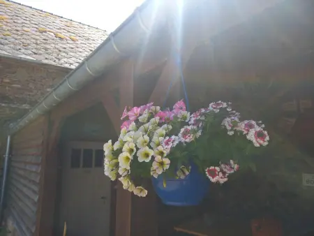 Charmante maison rénovée avec terrasse privée et jardin - Photo 19