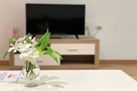 Villa Trabazos Abellas, Appartement à Ourense près des thermes - Photo 6