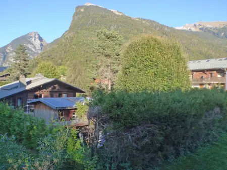 Confortable 2 pièces cabine à Samoëns avec wifi, parking et animaux admis - Photo 1