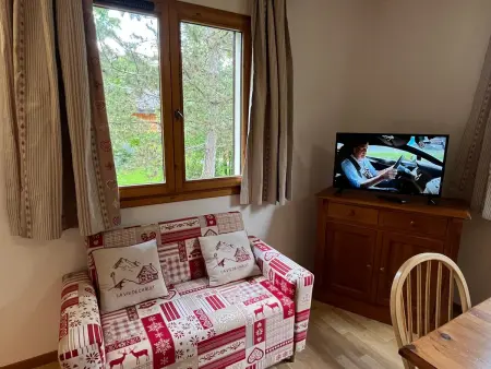 Confortable 2 pièces cabine à Samoëns avec wifi, parking et animaux admis - Photo 3