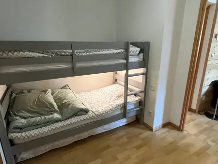 Confortable 2 pièces cabine à Samoëns avec wifi, parking et animaux admis - Photo 9