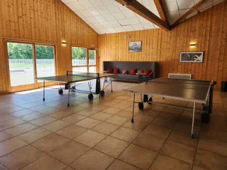 Confortable 2 pièces cabine à Samoëns avec wifi, parking et animaux admis - Photo 21