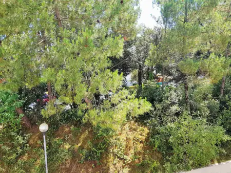 Appartement T2 avec Terrasse à 300m de la Plage de Saint-Georges-de-Didonne - Photo 11