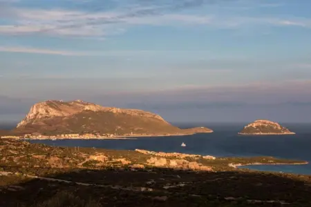 Cugnana Verde Mono 2/3, Appartement à Olbia avec vue sur mer - Photo 26