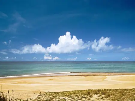 Appartement rénové au 2ème étage, près de la plage à Seignosse - Photo 17