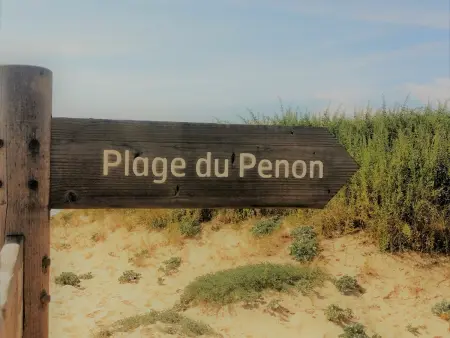 Appartement rénové au 2ème étage, près de la plage à Seignosse - Photo 19