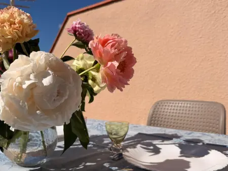 BANYULS-SUR-MER, studio avec terrasse, proche plage - Photo 5