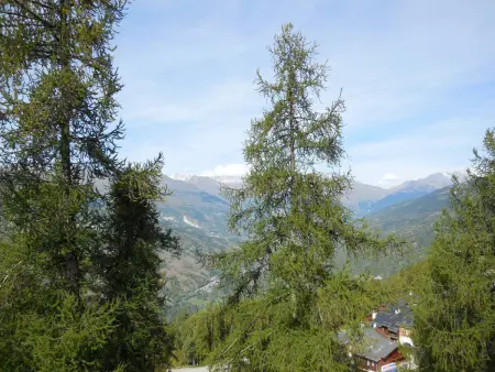 Studio divisible pour 4 pers. à La Plagne, animaux acceptés - Photo 9