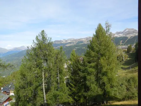 Studio divisible pour 4 pers. à La Plagne, animaux acceptés - Photo 10