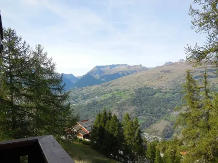 Studio divisible pour 4 pers. à La Plagne, animaux acceptés - Photo 11