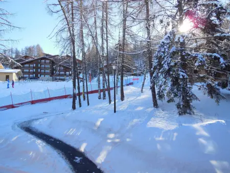 Studio divisible pour 4 pers, vue sur sapins, animaux admis - Photo 9