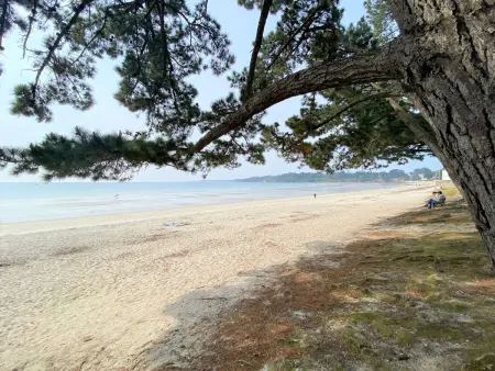 Appartement à Fouesnant avec piscine chauffée, proche plage et GR34 - Photo 20