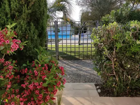 Appartement calme avec piscine à Saint-Georges-d'Oléron - Photo 12