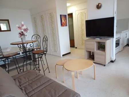 Studio à Balaruc-les-Bains avec climatisation et animaux acceptés - Photo 4