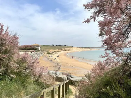 Appartement avec piscine et parking à 650m de la plage, Bretignolles-sur-Mer - Photo 18
