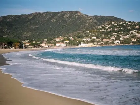 Studio avec Terrasse, Parking, à 500m de la Plage - Le Lavandou - Photo 12