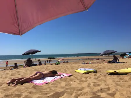 Appartement avec balcon-terrasse, parking privatif et accès plage à Longeville-sur-Mer - Photo 6