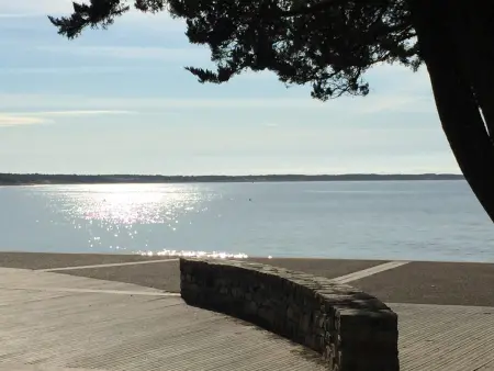 Appartement avec balcon-terrasse, parking privatif et accès plage à Longeville-sur-Mer - Photo 14