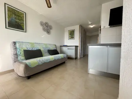 Appartement T2 cabine avec climatisation, parking privatif à Sète - Photo 2