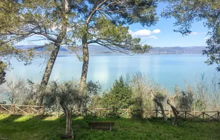 Appartement 5 personnes à Cortona - Photo 5
