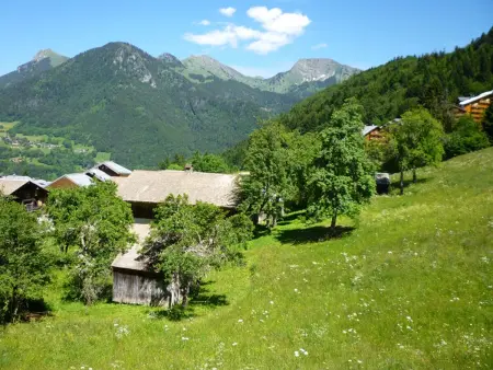 2 pièces à louer à St Jean d'Aulps, 100m des pistes - Photo 2