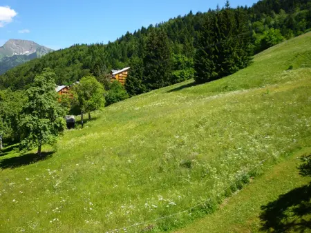 2 pièces à louer à St Jean d'Aulps, 100m des pistes - Photo 3