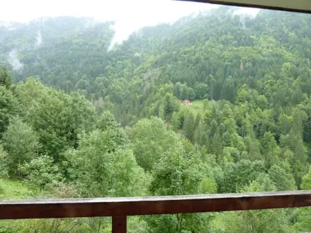 Studio 28m² avec piscine, balcon, parking - St-Jean-d'Aulps - Photo 3