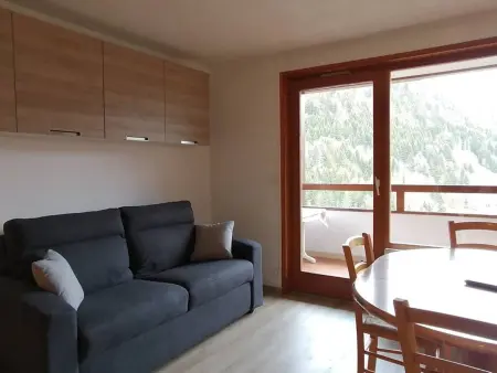 Studio à Saint-Jean-d'Aulps avec piscine privative - Photo 3