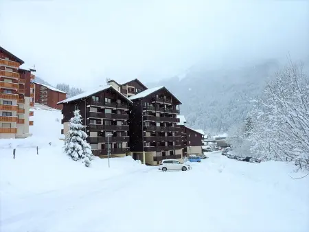 Studio cosy aux pieds des pistes à Saint-Jean-d'Aulps - Photo 8