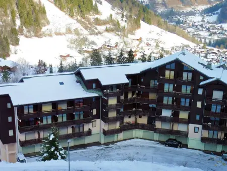 Studio cosy aux pieds des pistes à Saint-Jean-d'Aulps - Photo 9