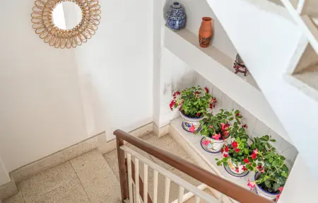 Appartement 6 personnes à San Javier - Photo 12