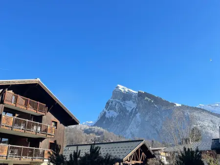 Appartement T2 avec grande terrasse et animaux acceptés - Photo 14
